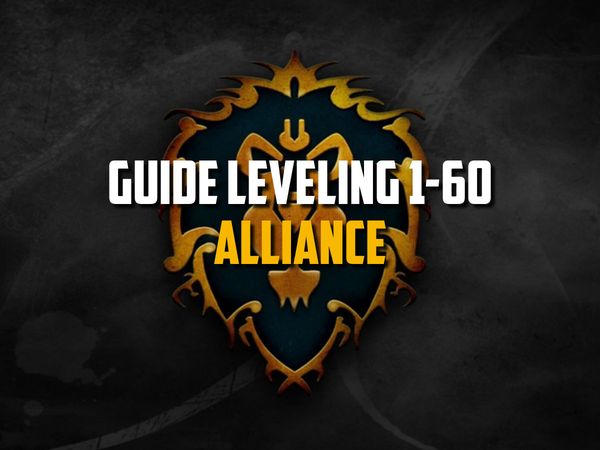 wow classic Guide Leveling 1-60 Alliance